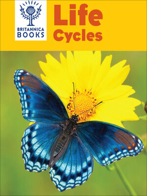 cover image of Britannica Books Life Cycles